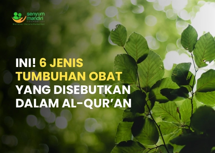 Jenis Tumbuhan Obat
